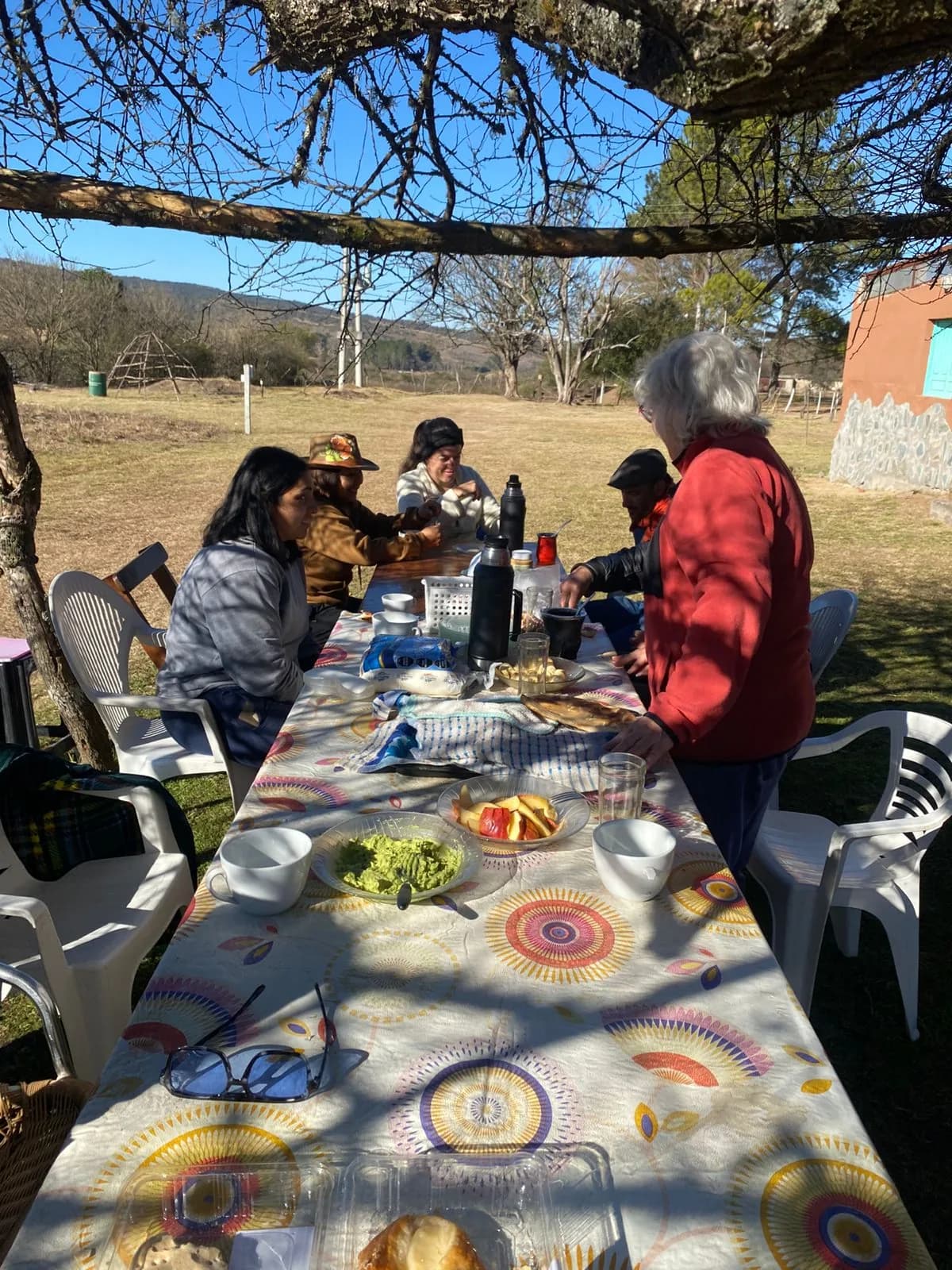 Personas compartiendo una mesa al aire libre bajo un árbol.