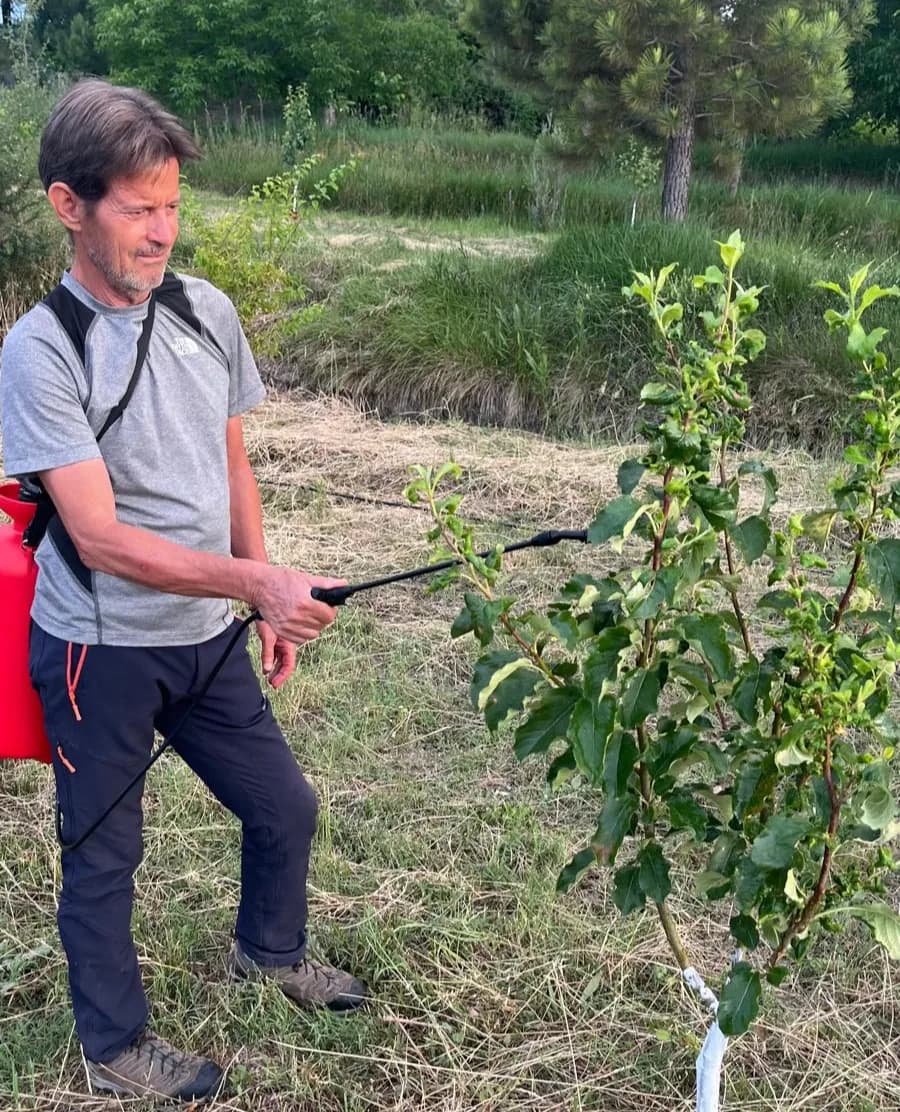 Persona junto a un árbol joven en un terreno cultivado.